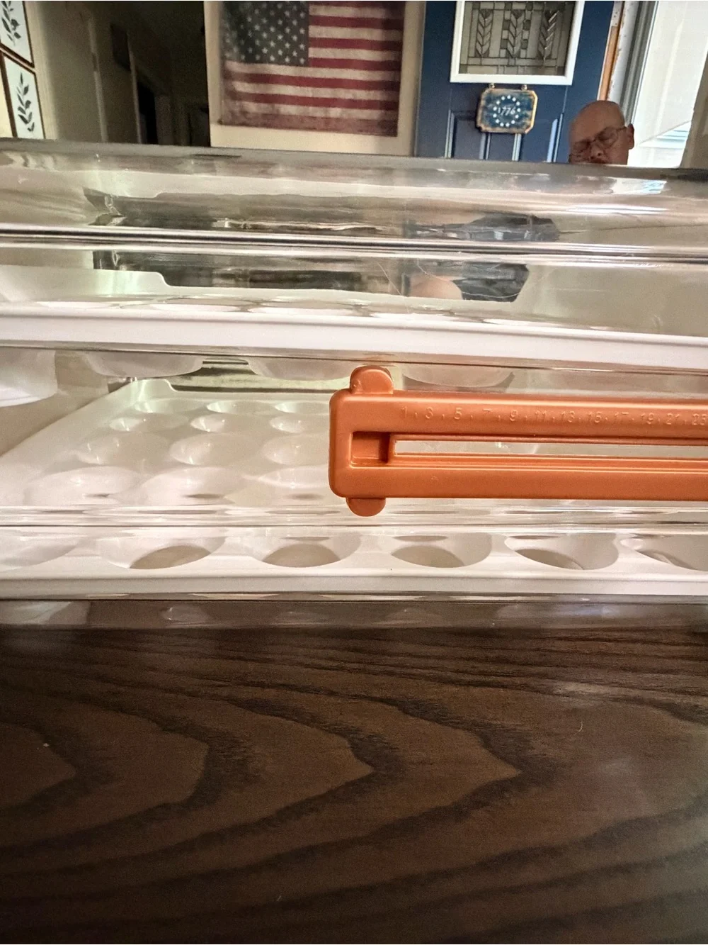 Brookstone White Clear 60-Egg Stackable Refrigerator Organizer